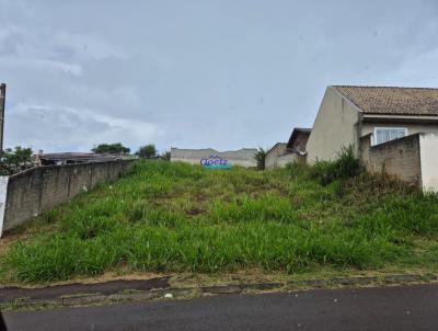 Terreno para Venda, em Campina Grande do Sul, bairro Centro