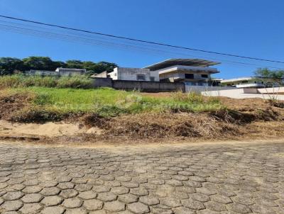 Terreno para Venda, em Cataguases, bairro Colinas