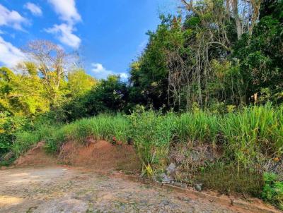 Terreno para Venda, em Cataguases, bairro Popular