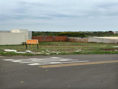 Terreno para Venda, em Bauru, bairro Parque Jaragu