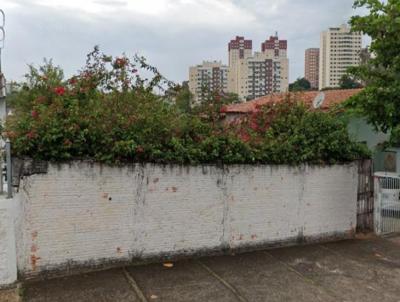 Terreno para Venda, em Campinas, bairro Jardim Nova Europa