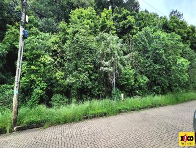 Terreno para Venda, em Nova Petrpolis, bairro Logradouro