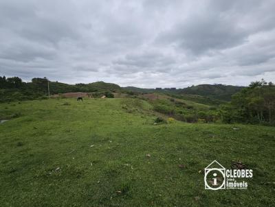 Stio / Chcara para Venda, em Amaral Ferrador, bairro Interior