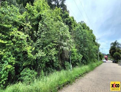 Terreno para Venda, em Nova Petrpolis, bairro Logradouro