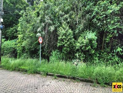 Terreno para Venda, em Nova Petrpolis, bairro Logradouro