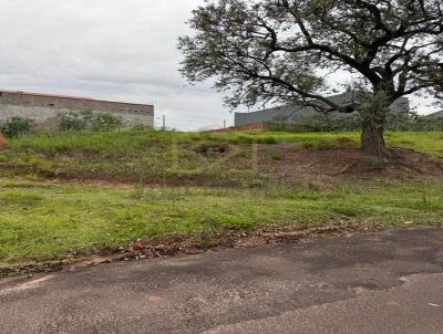 Terreno para Venda, em , bairro Plaza Martin