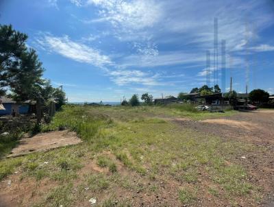 Terreno para Venda, em Frederico Westphalen, bairro Aparecida