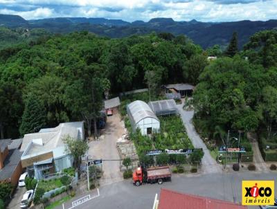 Terreno para Venda, em Nova Petrpolis, bairro Centro