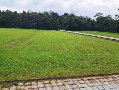 Terreno para Venda, em Joinville, bairro Pirabeiraba