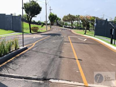 Terreno para Venda, em Ribeiro Preto, bairro Bonfim Paulista