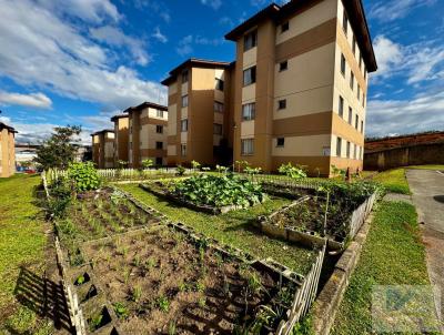 Apartamento para Venda, em So Jos dos Pinhais, bairro Santo Antnio, 2 dormitrios, 1 banheiro, 1 vaga