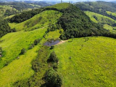 Fazenda para Venda, em Pedra do Indai, bairro zona rural, 3 dormitrios, 1 banheiro, 1 vaga