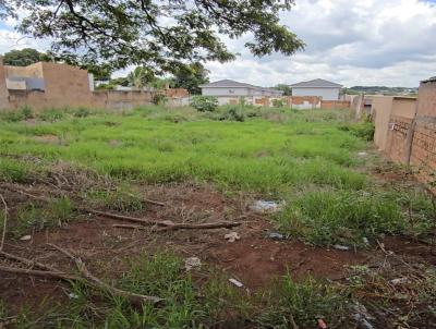 Terreno para Venda, em Campo Grande, bairro Vila Nasser