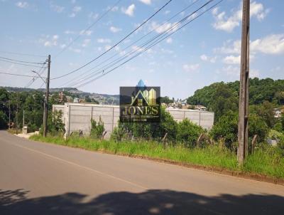 Lote para Venda, em Concrdia, bairro PRIMAVERA.