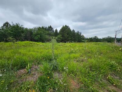 Lote para Venda, em So Leopoldo, bairro SCHARLAU