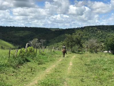 Fazenda para Venda, em Porto Seguro, bairro Br367