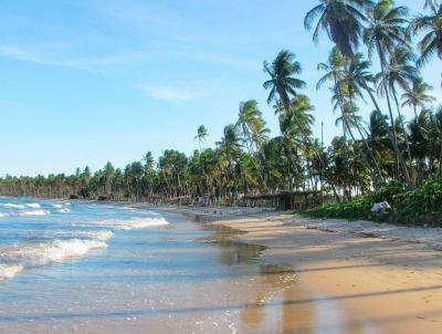 Terreno para Venda, em Porto Seguro, bairro Nova Carava