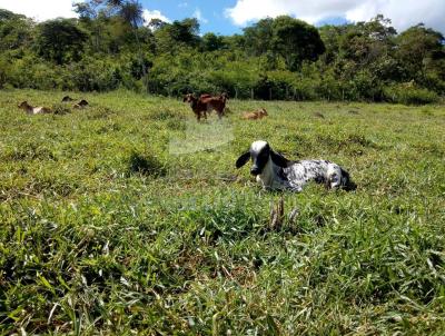 Fazenda para Venda, em Almenara, bairro Br367