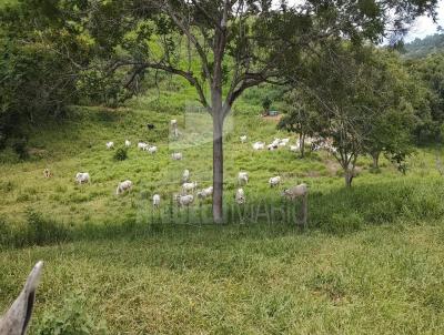 Fazenda para Venda, em Almenara, bairro RODOVIA 367, A 26 KM DA CIDADE DE ALMENARA-MG.