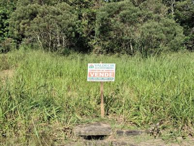 Lote para Venda, em Agronmica, bairro MORRO DO REUTER