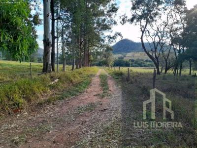 Stio / Chcara para Venda, em Ribeiro Bonito, bairro Altos do Jaragu