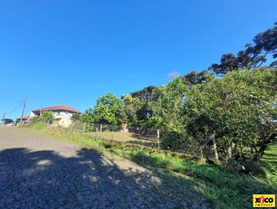 Terreno para Venda, em Nova Petrpolis, bairro Pousada da Neve