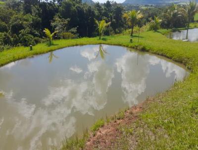 Stio para Venda, em Santo Antnio da Alegria, bairro RURAL