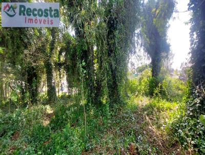 Terreno para Venda, em So Francisco de Paula, bairro CENTRO