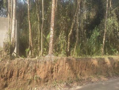 Terreno para Venda, em Mogi das Cruzes, bairro Taiaupeba