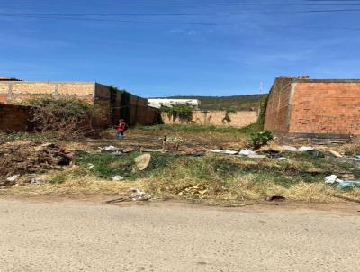 Lote para Venda, em Barreiras, bairro BAIRRO NOVO HORIZONTE