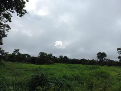 Fazenda para Venda, em Arraias, bairro Regio muito produtiva