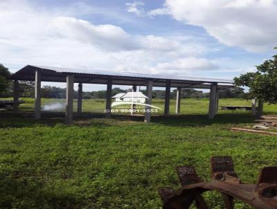 Fazenda para Venda, em Arraias, bairro Região muito produtiva