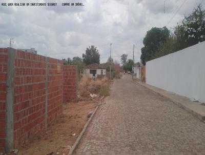 Terreno para Venda, em So Raimundo Nonato, bairro BAIRRO PRIMAVERA