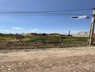 Loteamento para Venda, em Juazeiro do Norte, bairro Logradouro