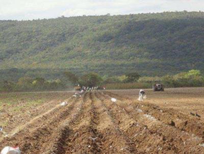 Fazenda para Venda, em Pirapora, bairro Rural