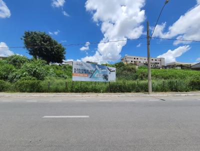 Lote para Venda, em Campo Belo, bairro Vila Arandutaba