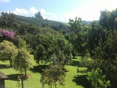 Chcara para Venda, em Divinolndia, bairro Trs Barras, 10 dormitrios, 6 banheiros, 3 sutes, 10 vagas