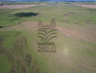 rea Rural para Venda, em Canguu, bairro 2 Distrito