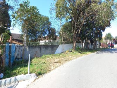 Terreno para Venda, em Almirante Tamandar, bairro Campina do Arruda