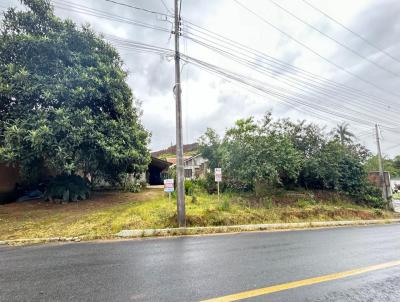 Terreno para Venda, em Guaramirim, bairro Corticeira