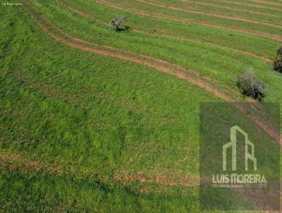 Fazenda para Venda, em Aparecida do Taboado, bairro Altos do Jaragu