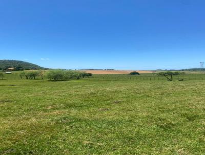 Campo para Venda, em Santana do Livramento, bairro RINC�O DA BOLSA