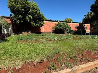 Terreno para Venda, em Santa Rosa, bairro Guia Lopes