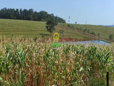 Fazenda para Venda, em Itapuranga, bairro Zona Rural