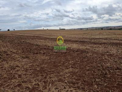 Fazenda para Venda, em Goinia, bairro Zona Rural