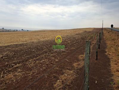 Fazenda para Venda, em Goinia, bairro Zona Rural