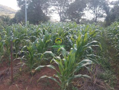 Fazenda para Venda, em Morrinhos, bairro Zona Rural