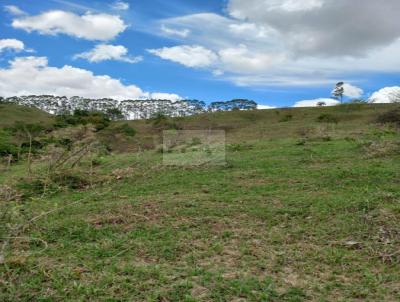 Stio para Venda, em Pratpolis, bairro Pedroso