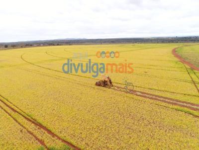 Fazenda para Venda, em Una, bairro Zona rural