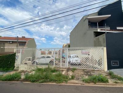 Terreno para Venda, em Presidente Prudente, bairro Vila Estdio